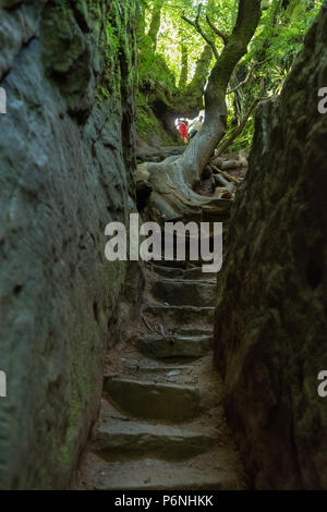 Die Leute an der Spitze der steile Stufen, bekannt als Jacobs Leiter unten in Finnich Glen, Killearn, Schottland, Großbritannien führenden Stockfoto