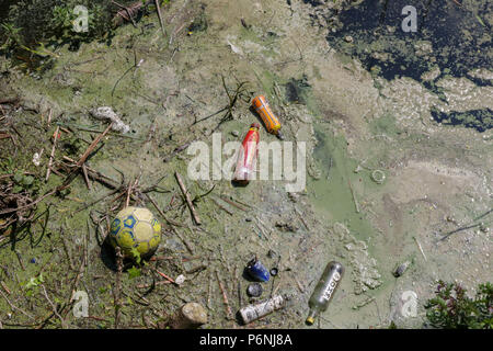 Süßwasser Verschmutzung durch Plastikflaschen und andere Elemente schwimmen in einem See als Algenblüte unterwegs erhält. Stockfoto