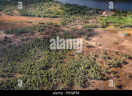 Blick aus dem Flugzeug zu einer Landung von Cashew Bäume in die Lencois Maranhenses Nationalpark, Brasilien Stockfoto