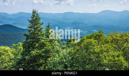 Blick auf den Blue Ridge Mountains von North Georgia von Brasstown Bald in der Nähe von Hanover, Georgia. (USA) Stockfoto