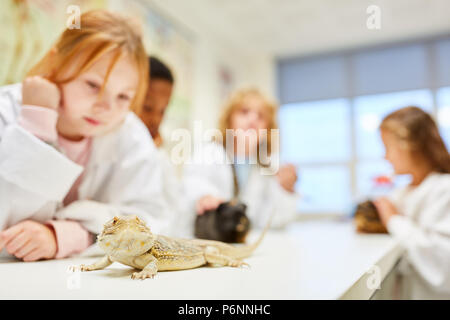 Kinder eine exotische Leguan und andere Tiere in der Biologie Lektion erkunden Stockfoto