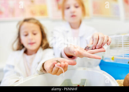 Kinder in der Volksschule in den Biologieunterricht halten kleine Mäuse in den Händen Stockfoto