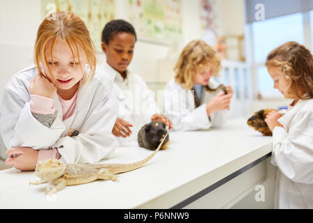 Gruppe der Schüler, die in Biologie studieren Lehren und Tieren im Labor untersuchen Stockfoto