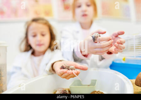 Schülerinnen und Schüler im Biologieunterricht von der Grundschule das Verhalten von Mäusen zu erkunden Stockfoto