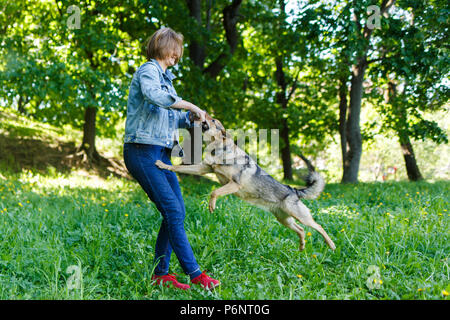 Foto von Frau mit Stick auf Spaziergang mit Hund auf dem grünen Rasen Stockfoto