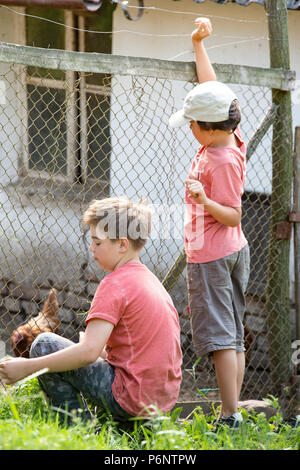 Jungen beobachten, Hühner, Ferienhäuser auf dem Land, Polen. Stockfoto