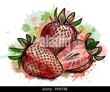 Erdbeere. Süße Frucht Stock Vektor