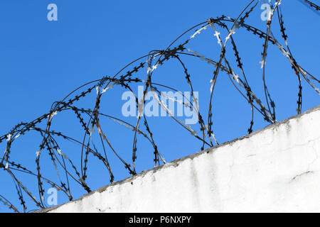 Stacheldraht auf der weißen Wand unter blauem Himmel Hintergrund, Nahaufnahme Foto mit selektiven Fokus Stockfoto