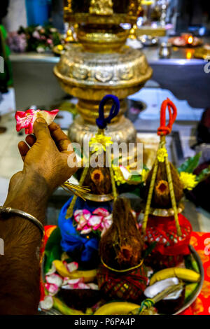 Shivaratri Feier an der Pariser Ganesh Tempel, Frankreich. Stockfoto