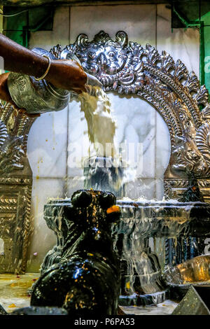 Shivaratri Feier an der Pariser Ganesh Tempel, Frankreich. Stockfoto