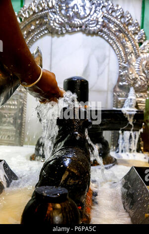 Shivaratri Feier an der Pariser Ganesh Tempel, Frankreich. Stockfoto