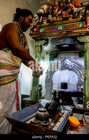 Shivaratri Feier an der Pariser Ganesh Tempel, Frankreich. Stockfoto