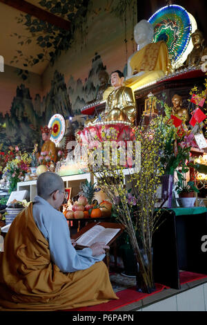 Chua Tu einen buddhistischen Tempel. Vietnamesische Neujahrsfest (TET) Feier. Saint-Pierre en Faucigny. Frankreich. Stockfoto