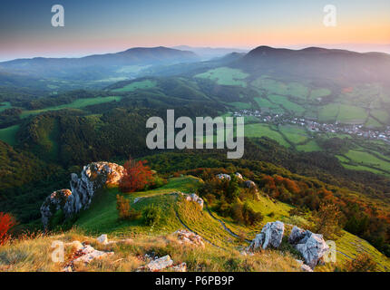Berge mit grünen Waldlandschaft. Stockfoto