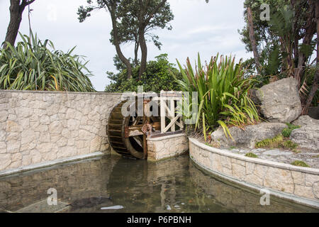 Napier, North Island, Neue Zealand-December 15,2016: Wasserrad in versunkenen Garten an der Marine Parade Gardens in Napier, Neuseeland Stockfoto