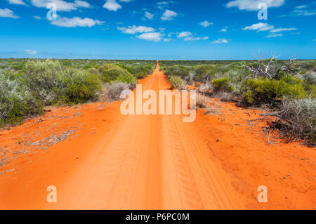 Red Dune Titel in Francois Peron National Park. Stockfoto