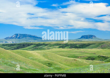 Square Butte und runde Butte über prairie Hügeln in der Nähe von Geraldine, Montana Stockfoto