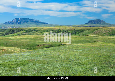 Square Butte und runde Butte über prairie Hügeln in der Nähe von Geraldine, Montana Stockfoto
