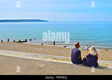 Ein paar Sitzen genießen Sie den Blick über den Solent Kanal in Richtung der Insel Wight. einen sonnigen Sommer, ruhigem Wasser und blauen Himmel und Meer. Hunde in Wasser Stockfoto