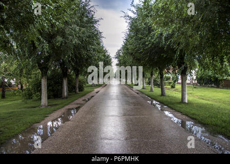 Die Vojvodina, Serbien - Land Straße zum Dorf Belo Blato nach Frühling Regen Stockfoto