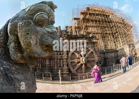 Das Bild der Toursit bei Konark Sonnentempel in Odisha, Indien Stockfoto