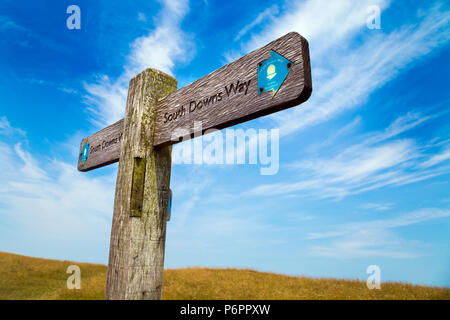 Wandern in den South Downs, South Downs Way Holz- Hinweisschild, Großbritannien Stockfoto