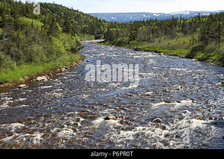 Reisen Labrador, Kanada. Landschaft scenics entlang Labrador Coastal Drive 510 N, Trans Labrador Highway, Neufundland, Labrador, Kanada Stockfoto