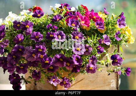 Blumen verschiedene Arten Stockfoto