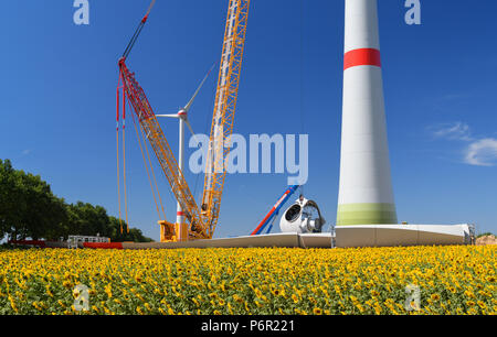 Mallnow, Deutschland. 29 Juni, 2018. 29.06.2018, Brandenburg, Mallnow: eine neue Windenergieanlage wird hinter einem leuchtend gelb blühende Sonnenblumen Feld festlegen. Repowering ist derzeit in der Entwicklung. Windenergieanlagen der ersten Generation wird durch moderne Anlagen ersetzt werden, mehrere neue Anlagen. Foto: Patrick Pleul/dpa-Zentralbild/ZB | Verwendung weltweit/dpa/Alamy leben Nachrichten Stockfoto