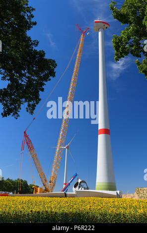 Mallnow, Deutschland. 29 Juni, 2018. 29.06.2018, Brandenburg, Mallnow: eine neue Windenergieanlage wird hinter einem leuchtend gelb blühende Sonnenblumen Feld festlegen. Repowering ist derzeit in der Entwicklung. Windenergieanlagen der ersten Generation wird durch moderne Anlagen ersetzt werden, mehrere neue Anlagen. Foto: Patrick Pleul/dpa-Zentralbild/ZB | Verwendung weltweit/dpa/Alamy leben Nachrichten Stockfoto