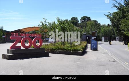 Whipsnade Zoo, Bedfordshire, Großbritannien. 2. Juli 2018. ZSL Whipsnade Zoo, der früher als Whipsnade Wild Animal Park bekannt, ist ein Zoo und Safari Park an der Whipsnade entfernt, in der Nähe von Dunstable in Bedfordshire, England. Es ist einer von zwei Zoos (das andere ist ZSL London Zoo im Regent's Park, London), die von der zoologischen Gesellschaft von London (ZSL), einer Charity, die weltweite Erhaltung von Tieren und ihren Lebensräumen gewidmet. Foto von Andrew Parsons/Parsons Media Ltd Credit: Andrew Parsons/Alamy leben Nachrichten Stockfoto