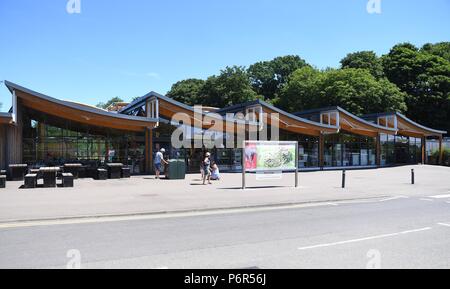 Whipsnade Zoo, Bedfordshire, Großbritannien. 2. Juli 2018. ZSL Whipsnade Zoo, der früher als Whipsnade Wild Animal Park bekannt, ist ein Zoo und Safari Park an der Whipsnade entfernt, in der Nähe von Dunstable in Bedfordshire, England. Es ist einer von zwei Zoos (das andere ist ZSL London Zoo im Regent's Park, London), die von der zoologischen Gesellschaft von London (ZSL), einer Charity, die weltweite Erhaltung von Tieren und ihren Lebensräumen gewidmet. Foto von Andrew Parsons/Parsons Media Ltd Credit: Andrew Parsons/Alamy leben Nachrichten Stockfoto