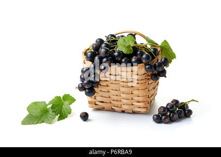 Schwarze Johannisbeeren in und neben einem kleinen Weidenkorb auf weißem Hintergrund. Stockfoto