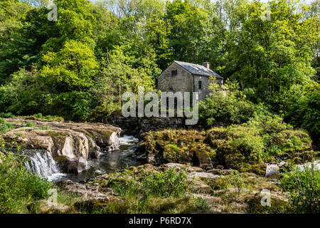 Cenarth Wasserfälle & Mühle Carmarthenshire Wales Stockfoto