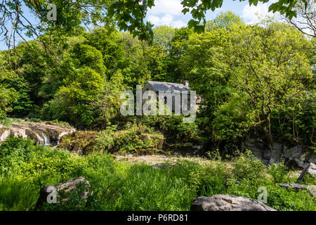 Cenarth Wasserfälle & Mühle Carmarthenshire Wales Stockfoto