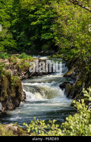 Cenarth Wasserfälle Carmarthenshire Wales Stockfoto