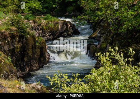 Cenarth Wasserfälle Carmarthenshire Wales Stockfoto