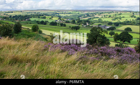 Blick aus Baildon Moor in Yorkshire, England. Rombalds Moor in der Ferne zu sehen ist. Stockfoto