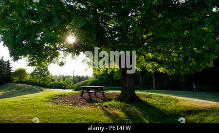 Am Morgen Übung auf den Park Stockfoto