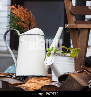 Alte Gießkannen im Garten ist im Landhausstil Suburban Area eingerichtet Stockfoto