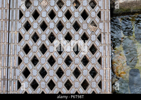 Bächle, mit Wasser gefüllte Rinne in der Altstadt von Freiburg, Deutschland, teilweise mit Eisenplatte abgedeckt Stockfoto