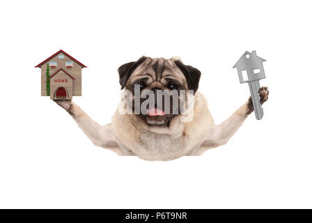 Lächelnd glücklich Mops Welpen Hund holding Hausschlüssel und Miniatur Haus, auf weißem Hintergrund Stockfoto