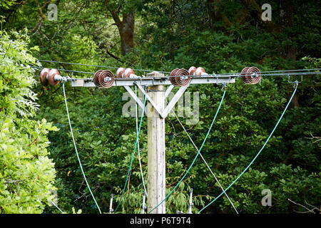 Keramikscheibe Isolatoren und Kabel an der Spitze eines Strom- pol Linien durch Rodung England uk läuft Stockfoto