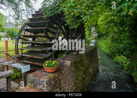 Alte Wassermühle / Wassermühle auf dem Fluss Veules entlang der Champs-Élysées Pfad in Veules-les-Roses, Seine-Maritime, Côte d'Albâtre, Normandie, Frankreich Stockfoto