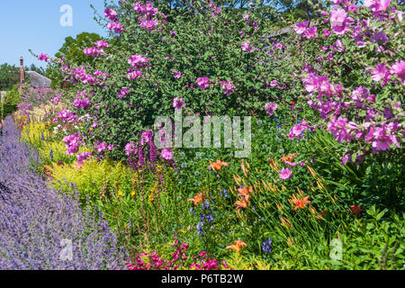 Bunte Staudenbeet ummauerten Garten Sommer uk Stockfoto