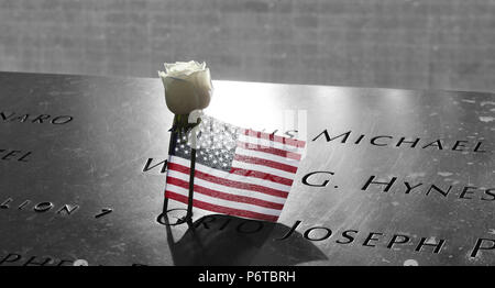 Amerikanische Flagge mit einem weißen Rose Stockfoto