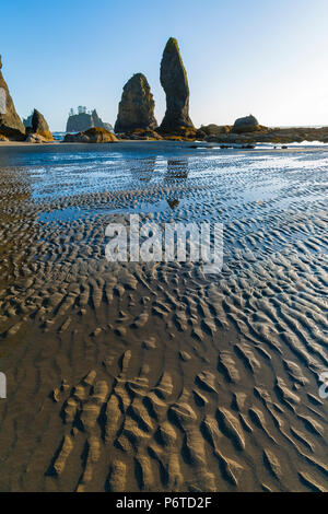 Felsformationen von Bögen mit gewellter Oberfläche von Shi Shi Strand bei Ebbe entlang des Pazifischen Ozeans in Olympic National Park, Washington Stockfoto