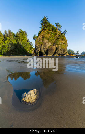 Felsformationen von Bögen mit dem sandigen Oberfläche von Shi Shi Strand bei Ebbe entlang des Pazifischen Ozeans in Olympic National Park, Washington St Stockfoto