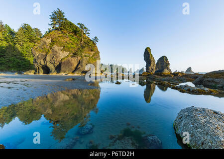 Felsformationen von Bögen mit einer tide pool entlang Shi Shi Strand bei Ebbe entlang des Pazifischen Ozeans in Olympic National Park, Washington State Stockfoto