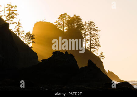 Punkt der Bögen Felsen bei Sonnenuntergang, von Shi Shi Strand entlang des Pazifischen Ozeans in Olympic National Park, Washington State, USA gesehen Stockfoto